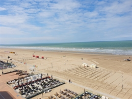 Foto 12/13