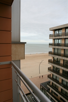 Foto 8/9