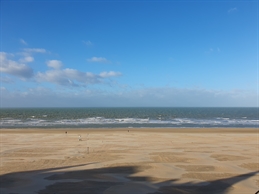 Foto 2/15