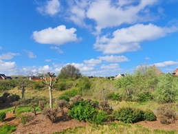 Foto 5/15