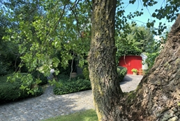 Foto 36/39