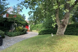 Foto 37/39