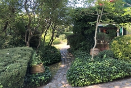 Foto 6/39