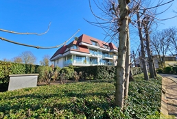 Foto 20/20