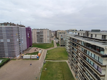 Foto 14/14