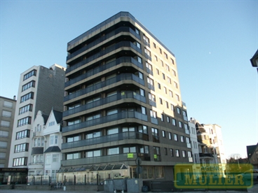 Foto 14/14