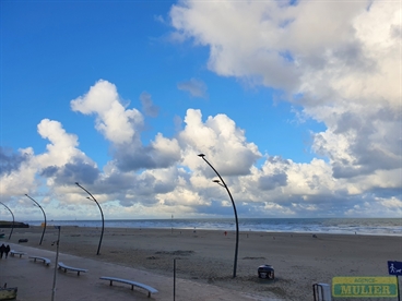 Foto 3/14