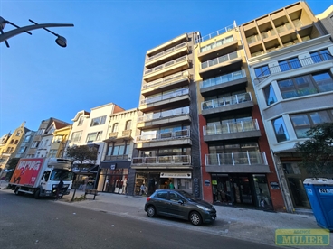Foto 21/21