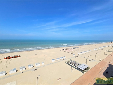 Foto 12/12